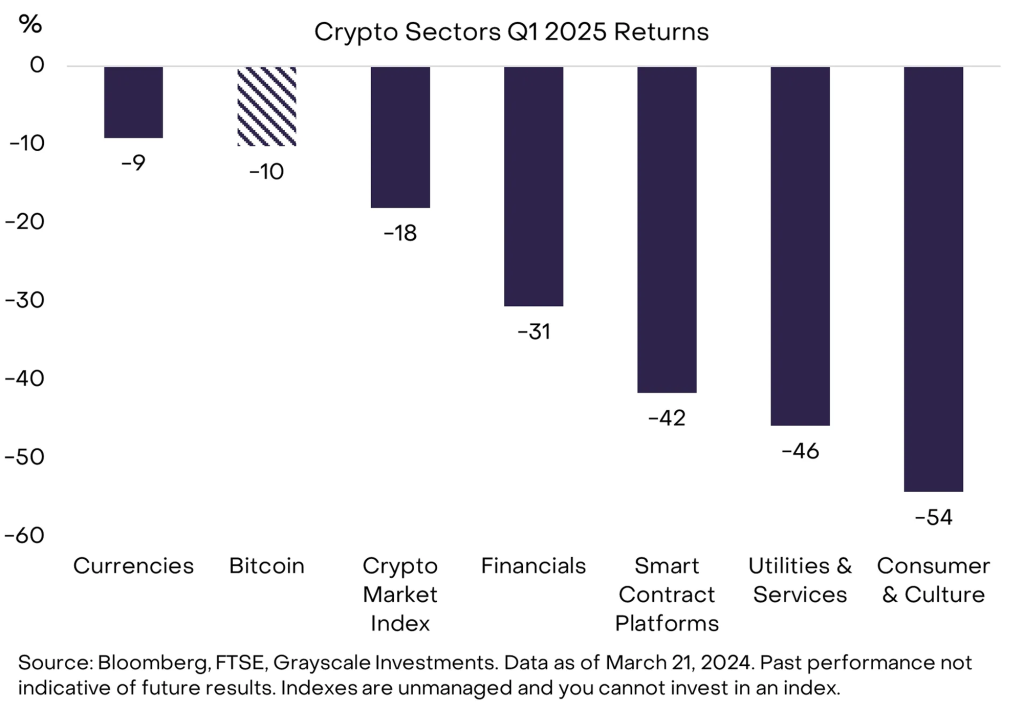 Comparative Context: Q1 2025 Performance